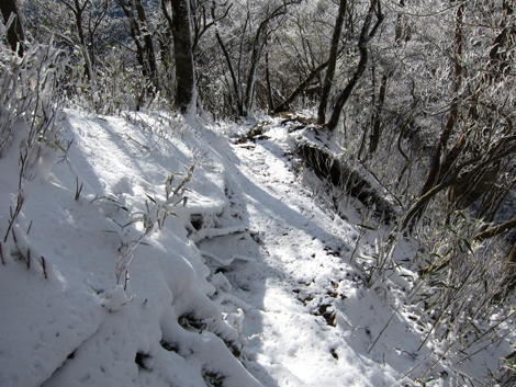 20191129hike (256)